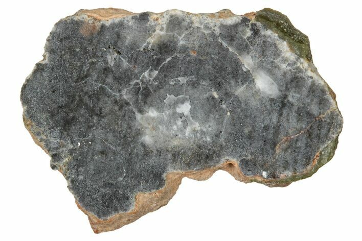 Lunar Meteorite ( g) Slice - Bechar #348218